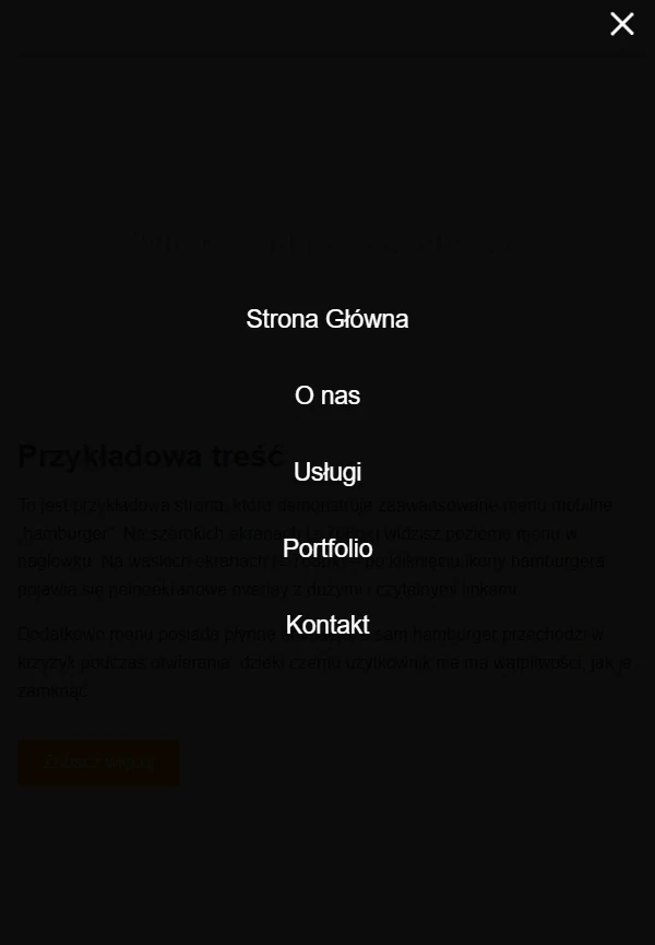 Przykład wyglądu menu hamburgera na stronie www